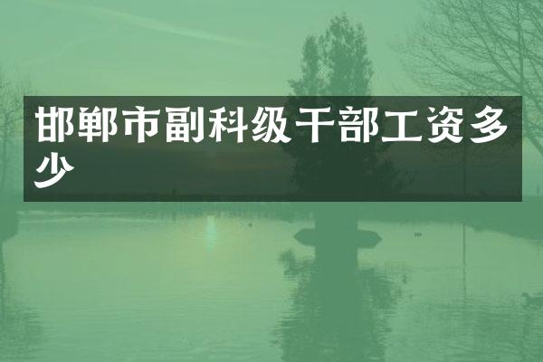 邯郸市副科级干部工资多少