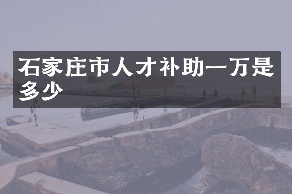 石家庄市人才补助一万是多少