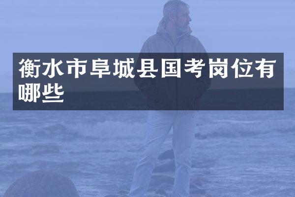 衡水市阜城县国考岗位有哪些