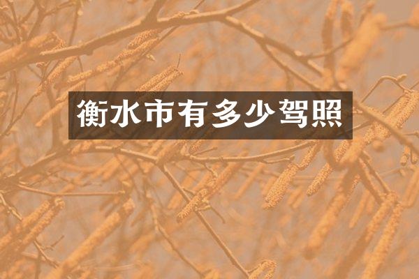 衡水市有多少驾照