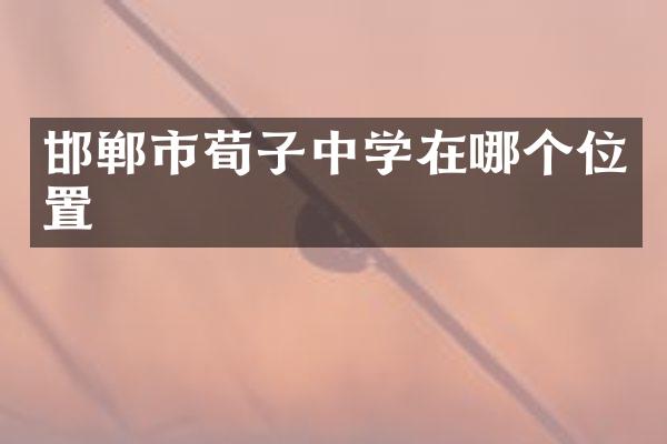 邯郸市荀子中学在哪个位置