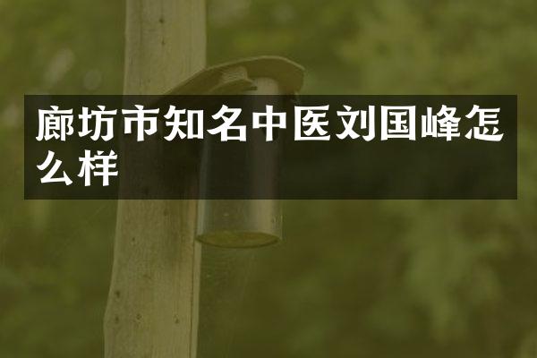 廊坊市知名中医刘国峰怎么样