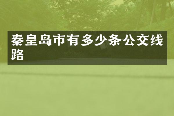 秦皇岛市有多少条公交线路