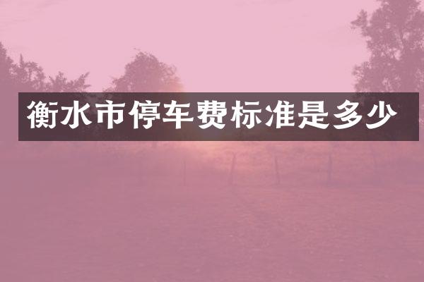 衡水市停车费标准是多少