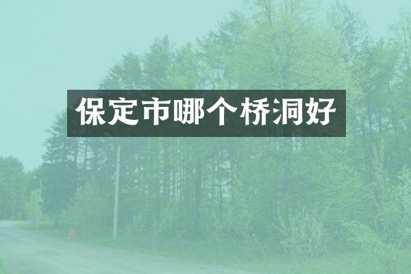 保定市哪个桥洞好