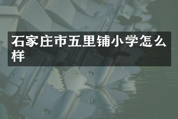 石家庄市五里铺小学怎么样