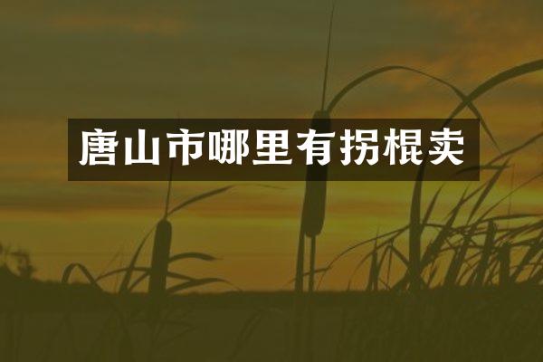 唐山市哪里有拐棍卖
