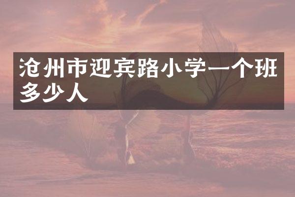 沧州市迎宾路小学一个班多少人