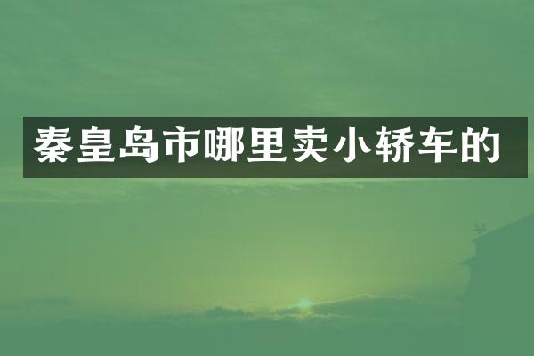 秦皇岛市哪里卖小轿车的