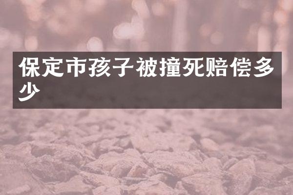 保定市孩子被撞死赔偿多少