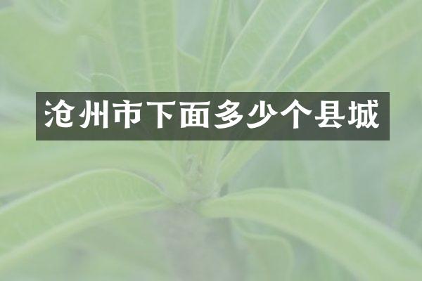 沧州市下面多少个县城