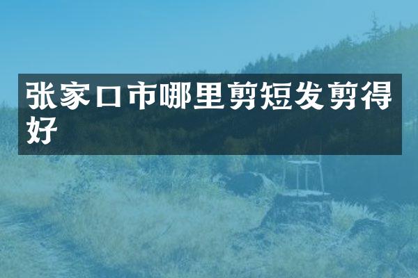 张家口市哪里剪短发剪得好