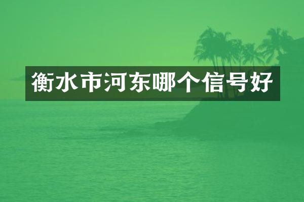 衡水市河东哪个信号好