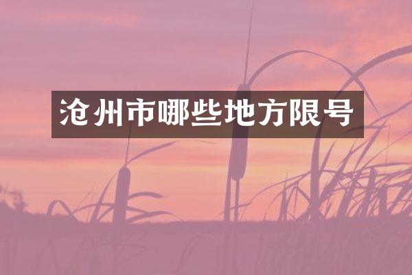 沧州市哪些地方限号