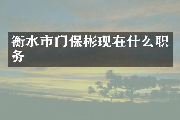 衡水市门保彬现在什么职务