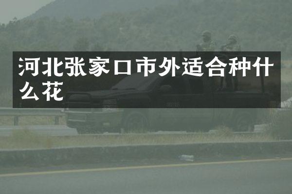 河北张家口市外适合种什么花