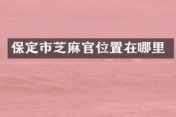 保定市芝麻官位置在哪里