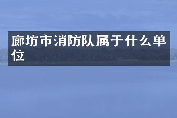 廊坊市消防队属于什么单位