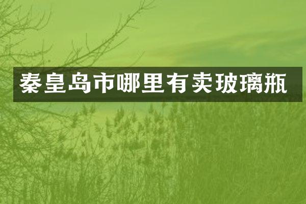 秦皇岛市哪里有卖玻璃瓶