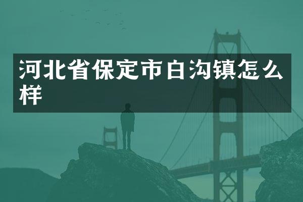 河北省保定市白沟镇怎么样
