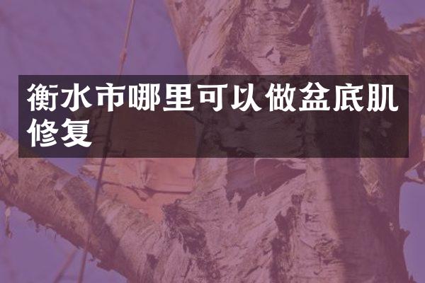 衡水市哪里可以做盆底肌修复