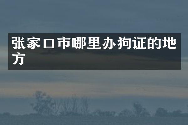 张家口市哪里办狗证的地方