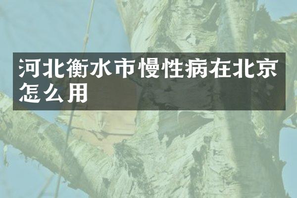 河北衡水市慢性病在北京怎么用