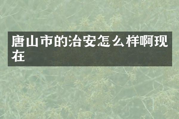 唐山市的治安怎么样啊现在