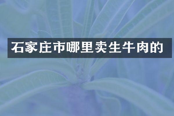 石家庄市哪里卖生牛肉的