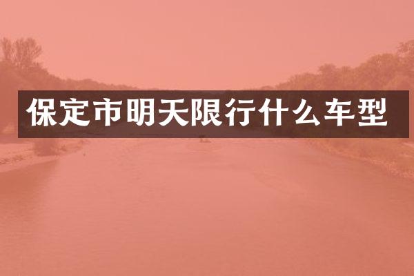 保定市明天限行什么车型