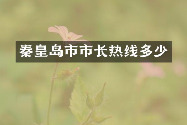 秦皇岛市市长热线多少
