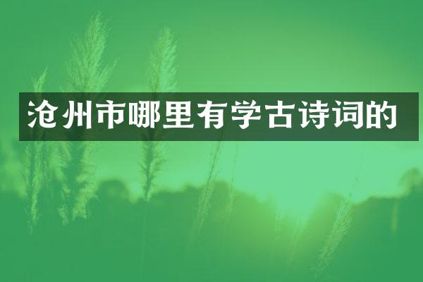 沧州市哪里有学古诗词的