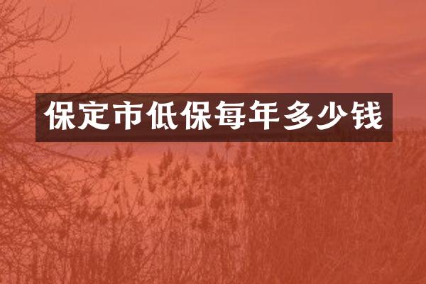 保定市低保每年多少钱