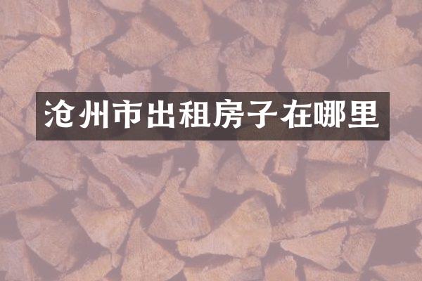 沧州市出租房子在哪里