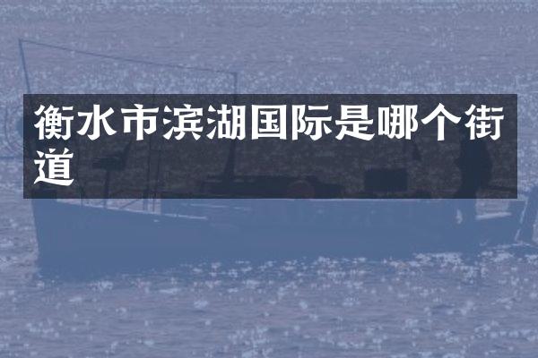 衡水市滨湖国际是哪个街道