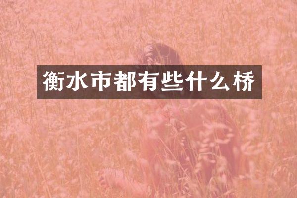 衡水市都有些什么桥