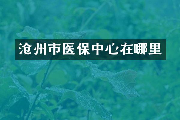 沧州市医保中心在哪里