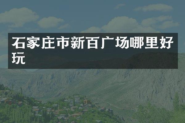 石家庄市新百广场哪里好玩