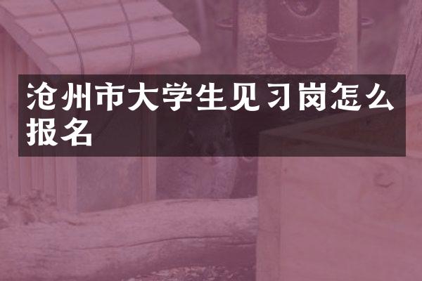 沧州市大学生见习岗怎么报名