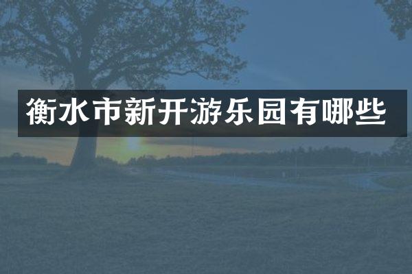 衡水市新开游乐园有哪些