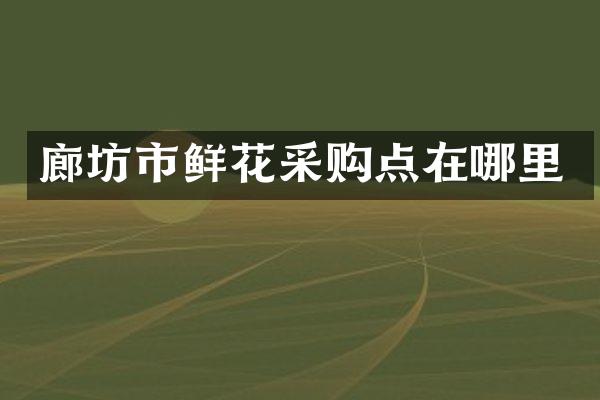 廊坊市鲜花采购点在哪里