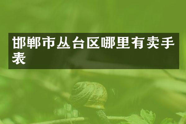 邯郸市丛台区哪里有卖手表