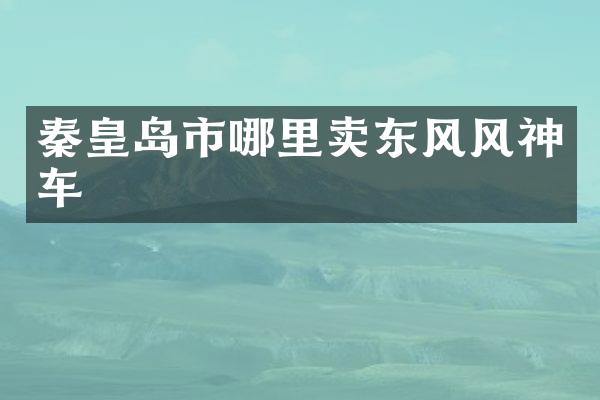 秦皇岛市哪里卖东风风神车