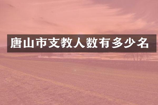 唐山市支教人数有多少名