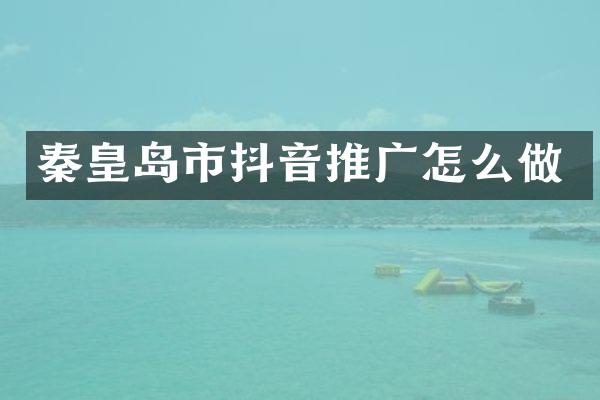秦皇岛市抖音推广怎么做