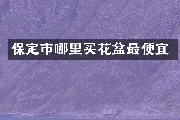 保定市哪里买花盆