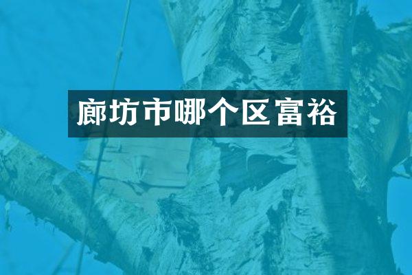 廊坊市哪个区富裕