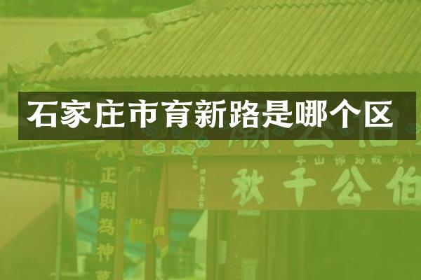 石家庄市育新路是哪个区