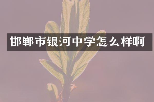 邯郸市银河中学怎么样啊