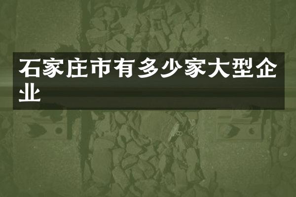 石家庄市有多少家大型企业
